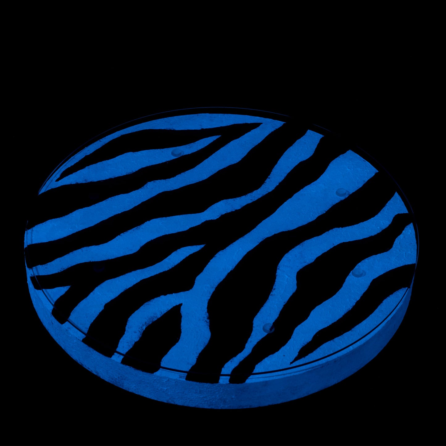 Kolekcinis ąžuolinis staliukas ,,Rhythm of the Zebra''