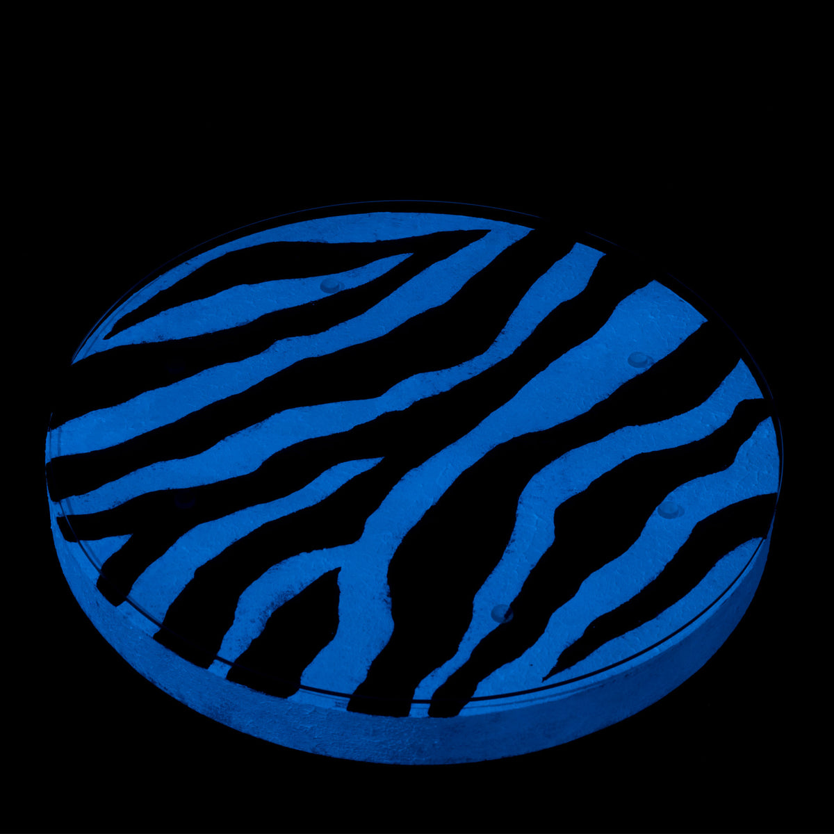Kolekcinis ąžuolinis staliukas ,,Rhythm of the Zebra''