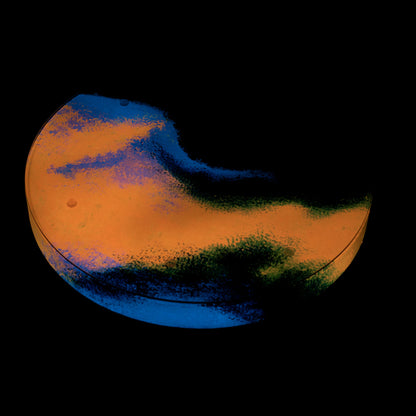 Tapytas medinis kavos staliukas, ažuolas