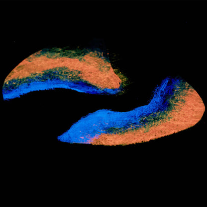 Medinis stalo padėkliukas, ąžuolas