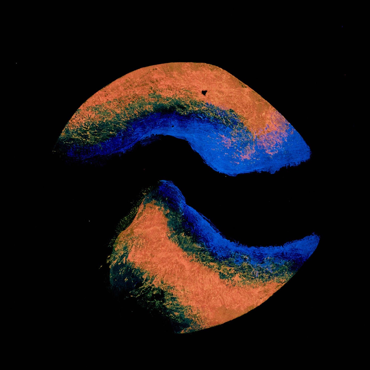 Medinis stalo padėkliukas, ąžuolas