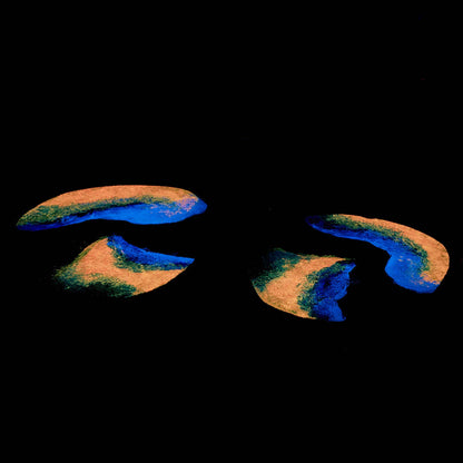 Medinis stalo padėkliukas, ąžuolas